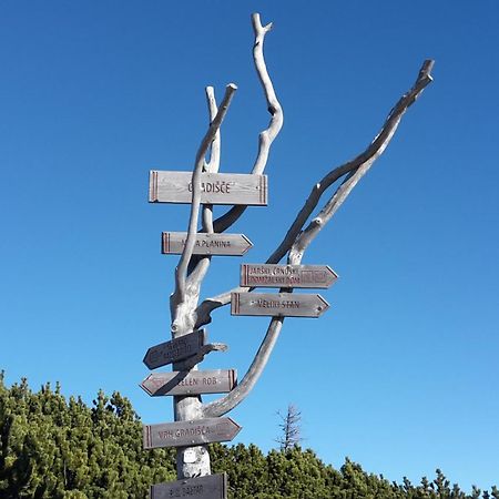 Chalet Zlatica Velika Planina オスレンドネスロヴェンスカ エクステリア 写真