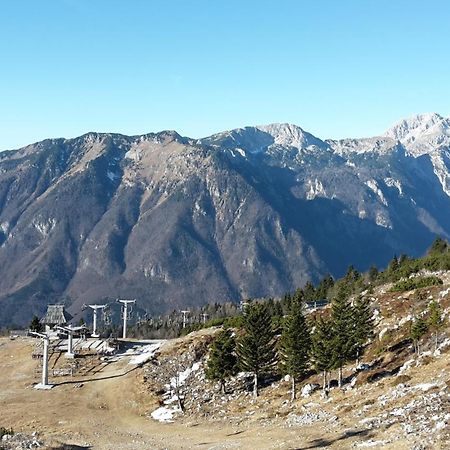 Chalet Zlatica Velika Planina オスレンドネスロヴェンスカ エクステリア 写真