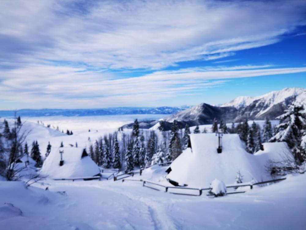 Chalet Zlatica Velika Planina オスレンドネスロヴェンスカ エクステリア 写真