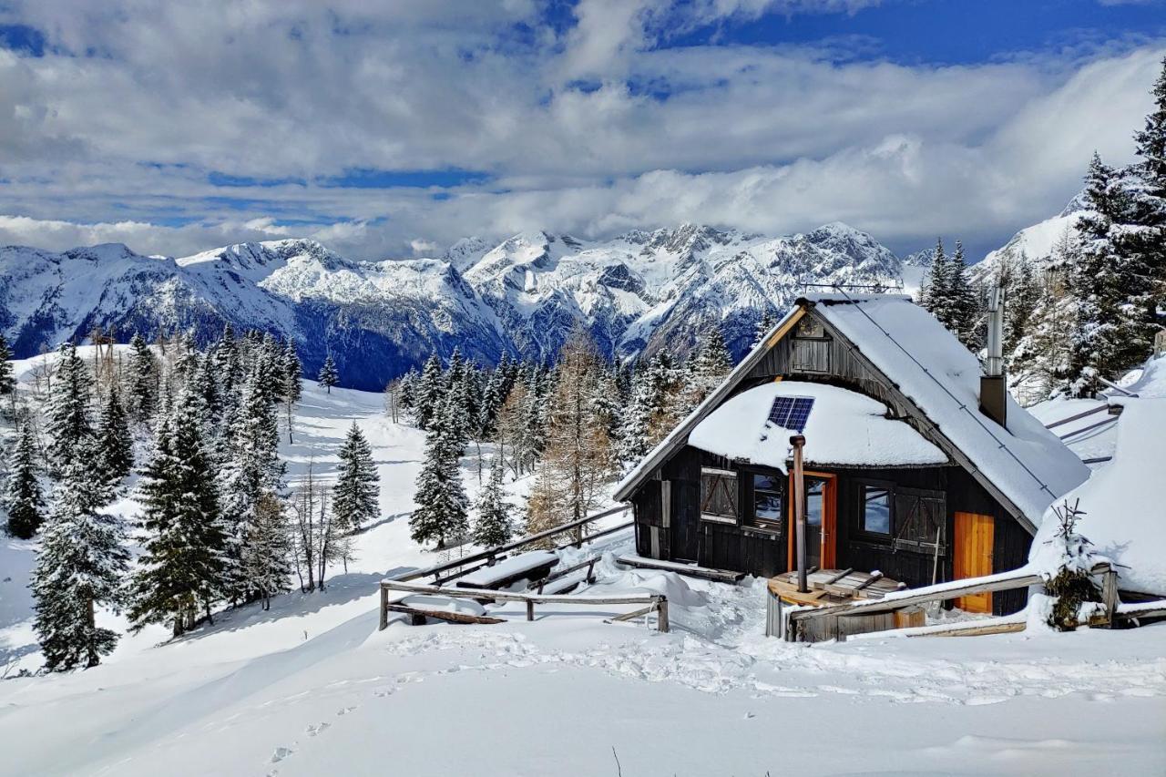 Chalet Zlatica Velika Planina オスレンドネスロヴェンスカ エクステリア 写真