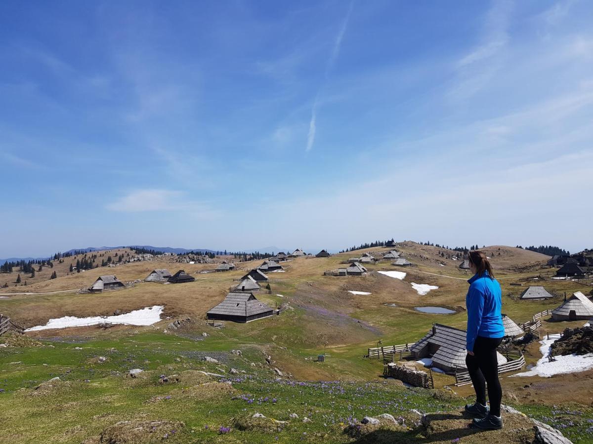 Chalet Zlatica Velika Planina オスレンドネスロヴェンスカ エクステリア 写真