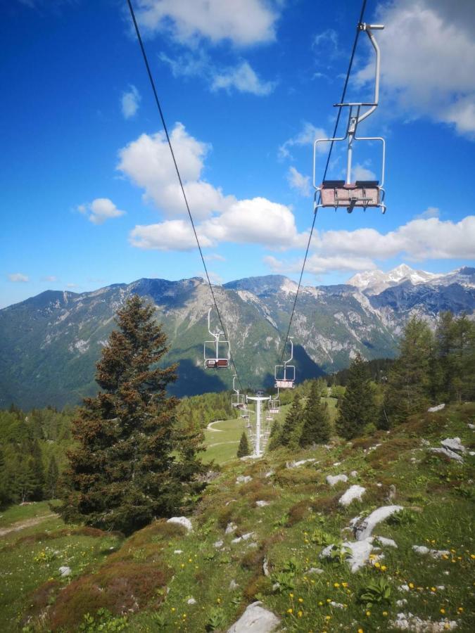 Chalet Zlatica Velika Planina オスレンドネスロヴェンスカ エクステリア 写真