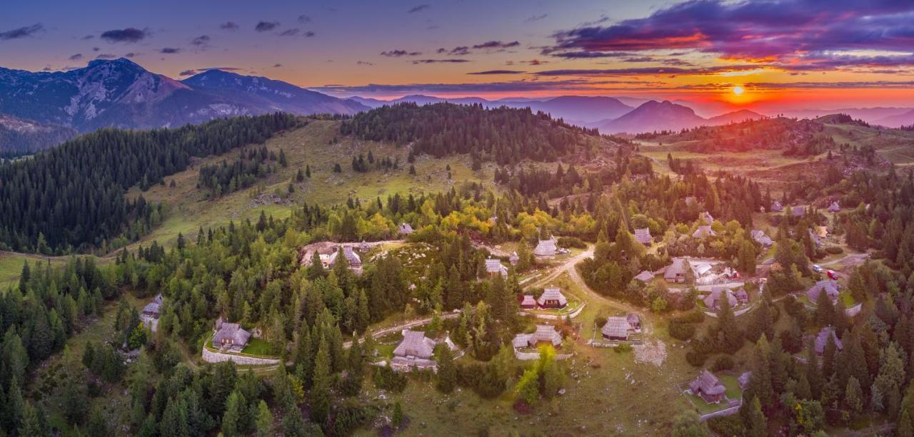 Chalet Zlatica Velika Planina オスレンドネスロヴェンスカ エクステリア 写真