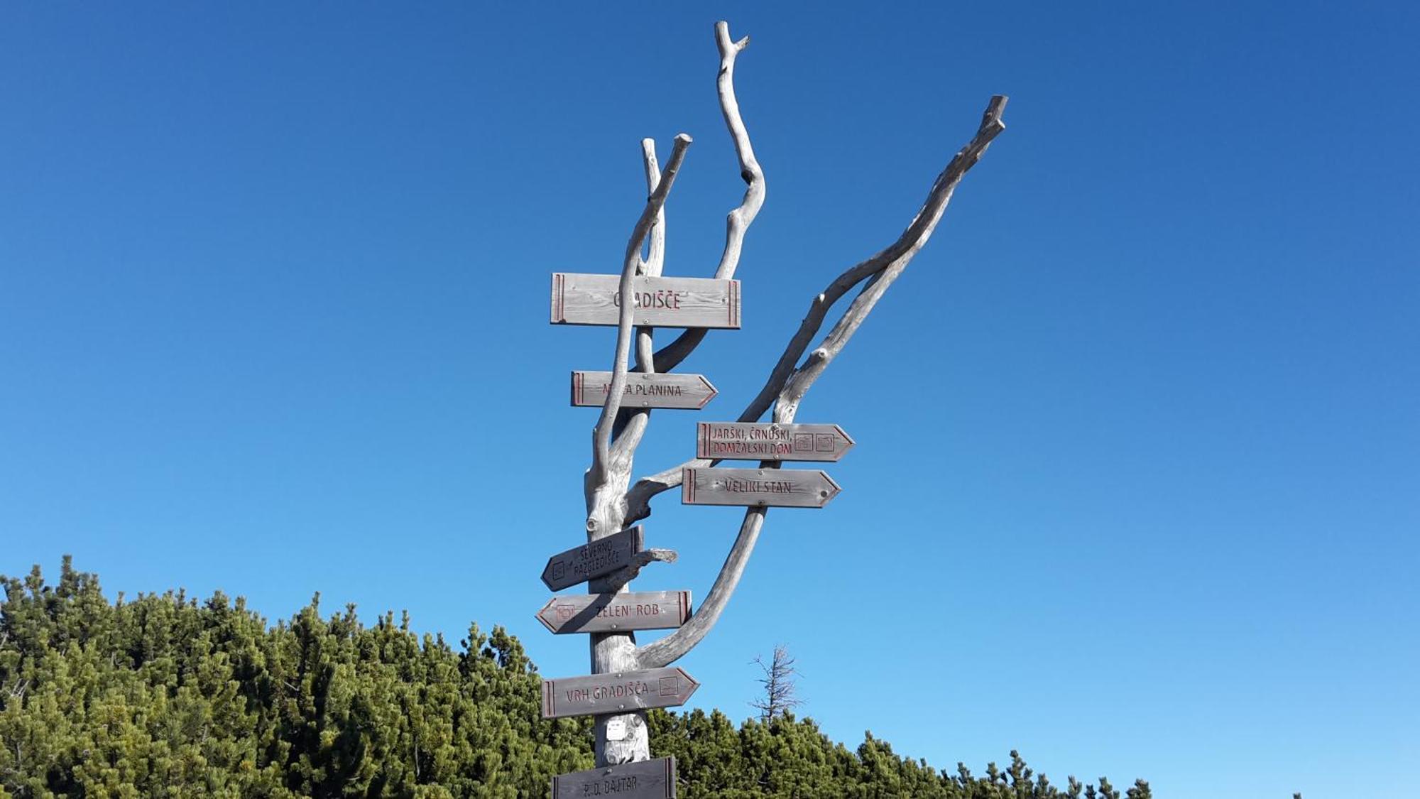 Chalet Zlatica Velika Planina オスレンドネスロヴェンスカ エクステリア 写真