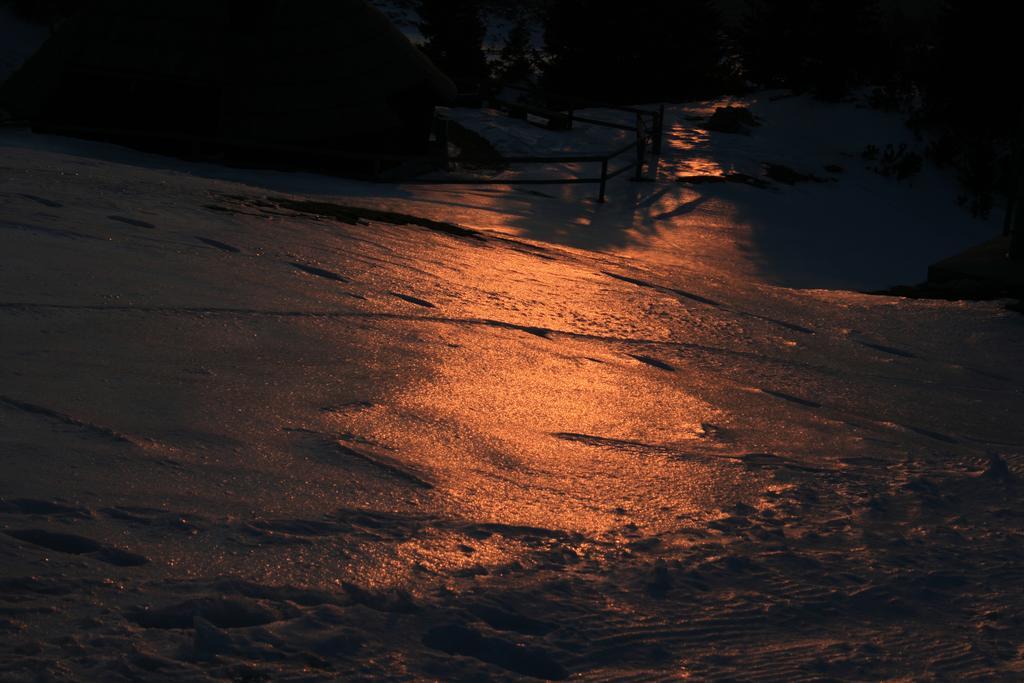 Chalet Zlatica Velika Planina オスレンドネスロヴェンスカ エクステリア 写真