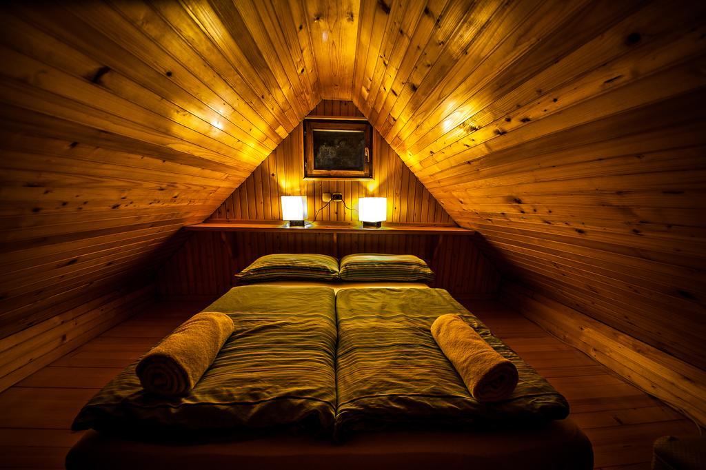 Chalet Zlatica Velika Planina オスレンドネスロヴェンスカ エクステリア 写真