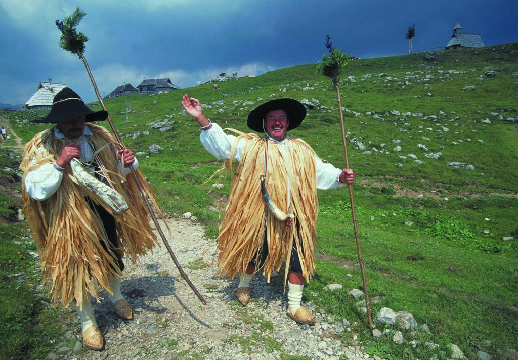 Chalet Zlatica Velika Planina オスレンドネスロヴェンスカ エクステリア 写真