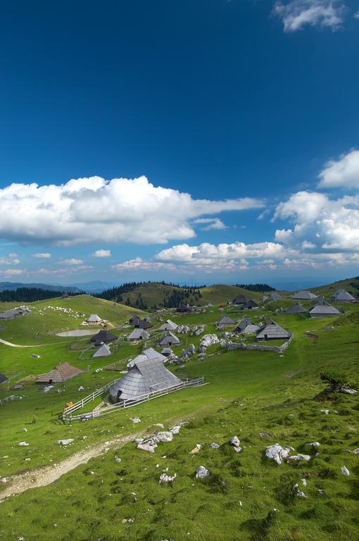 Chalet Zlatica Velika Planina オスレンドネスロヴェンスカ エクステリア 写真