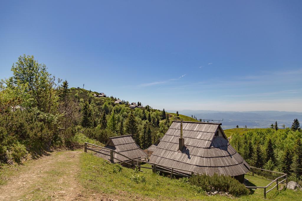 Chalet Zlatica Velika Planina オスレンドネスロヴェンスカ エクステリア 写真