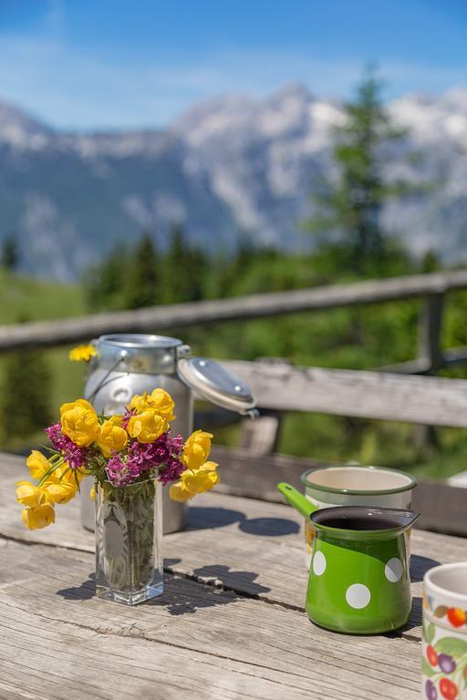 Chalet Zlatica Velika Planina オスレンドネスロヴェンスカ エクステリア 写真